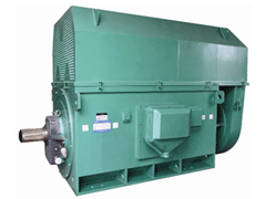 辽宁Y系列6KV高压电机品质保证